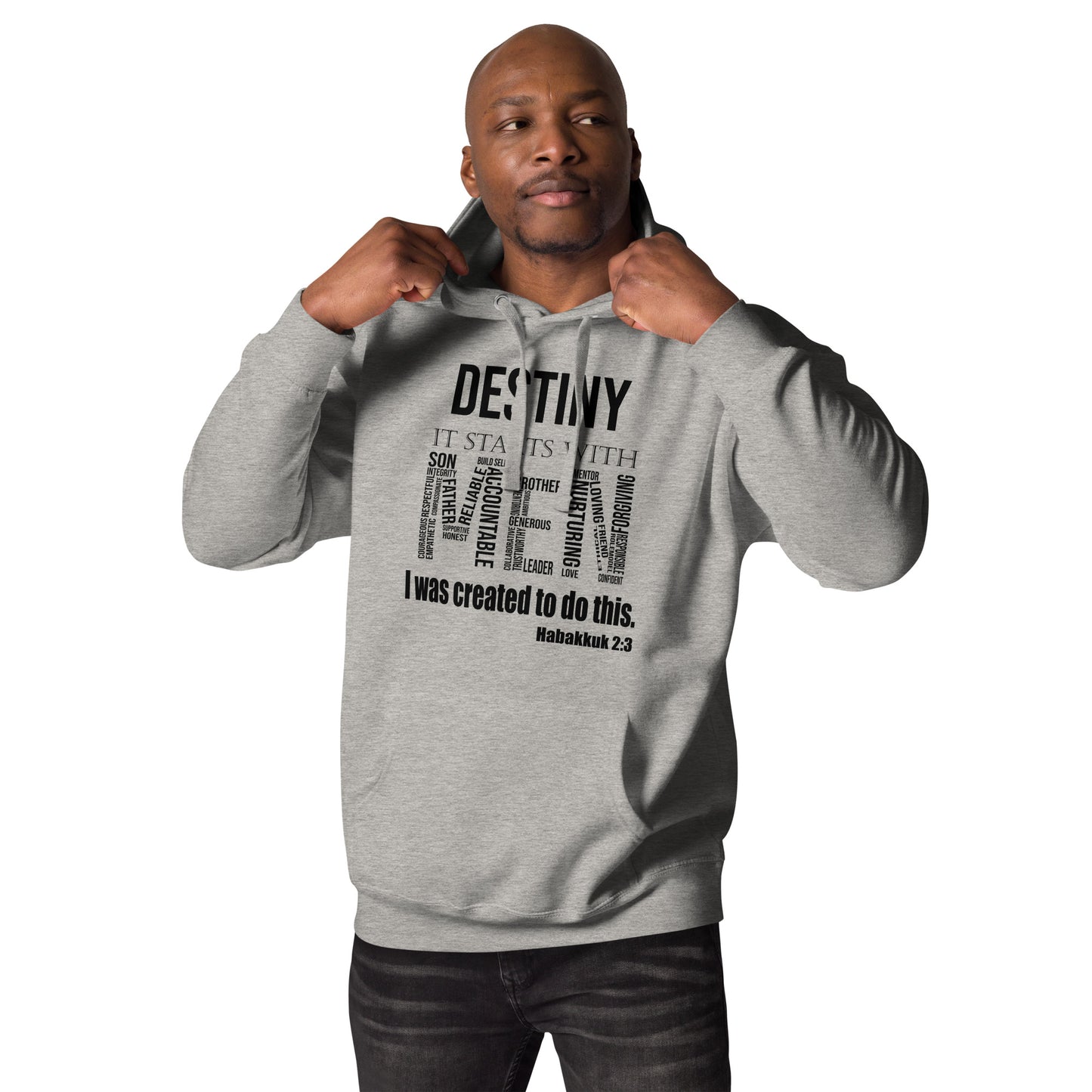 Destiny Men Hoodie